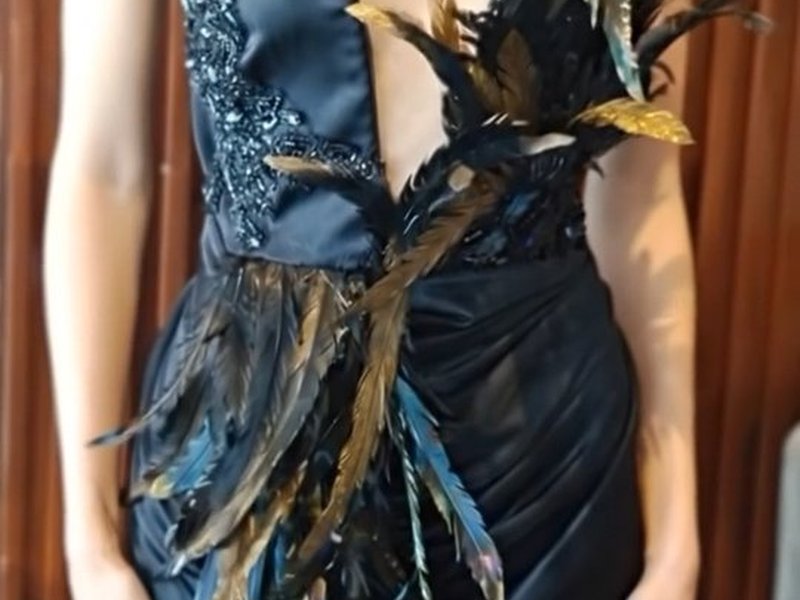 Black feathers dress