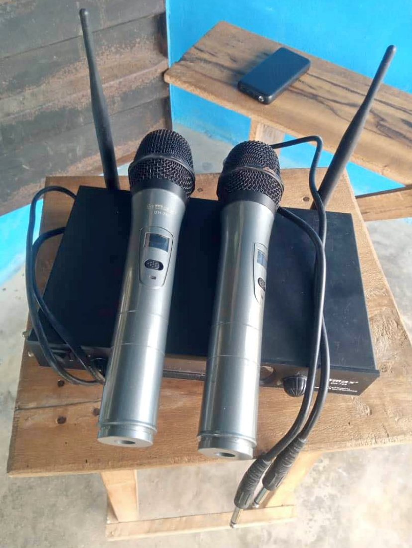 Quality Pro Audio Mic